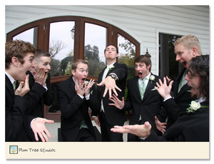 photo of Plum Tree Studios